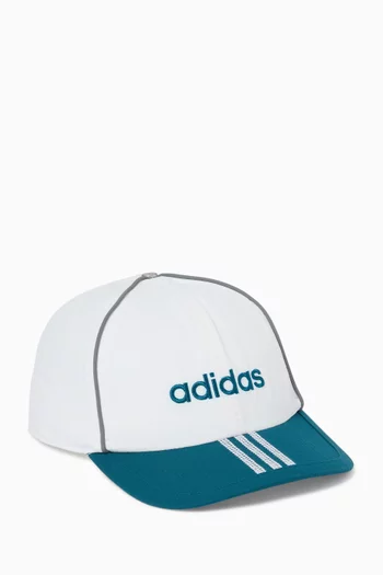 Shatto Baseball Cap in Canvas