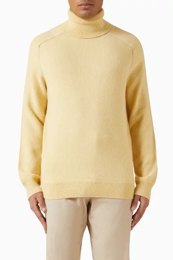 Turtleneck Sweater in Cashmere