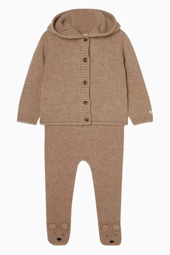 كارديغان بريتان بطبعة دب صوف مارينو