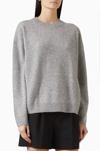 Lee Crewneck Sweater in Knit
