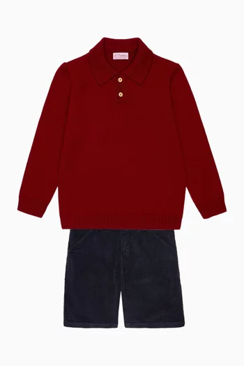 Brio Polo Sweater in Merino-wool