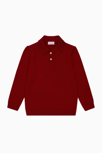 Brio Polo Sweater in Merino-wool