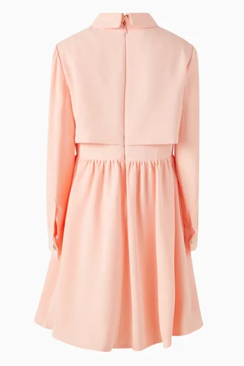 Embroidered Dress in Crepe