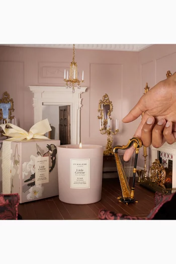 شمعة معطرة مر اند تونكا بإصدار خاص جو مالون × ليتل جرين، 200 غرام