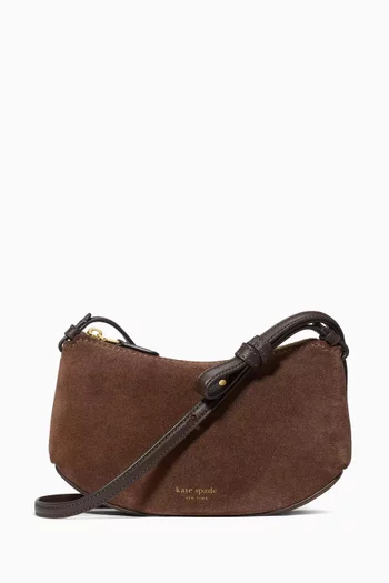 Loop Crossbody Bag in Suede