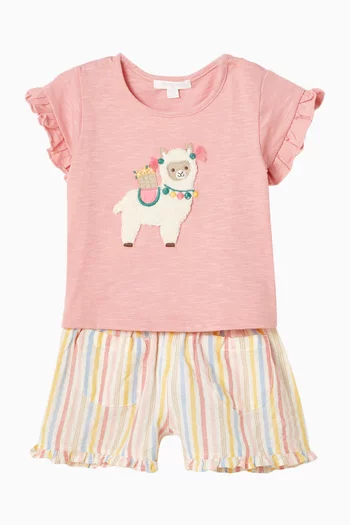 Fiesta Stripe Shorts