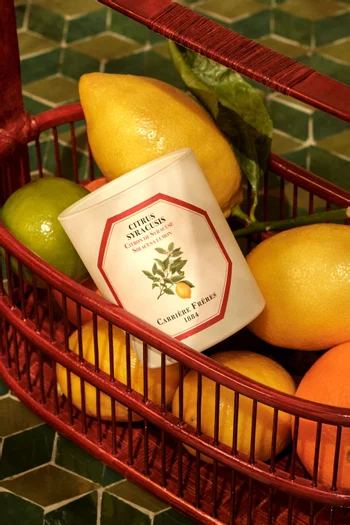 شمعة معطرة سيراكوزيس بالحمضيات، 185 غرام