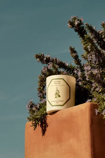 شمعة معطرة مينثا سبيكاتا، 185 غرام