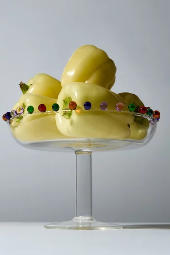 حامل بلوم زجاج