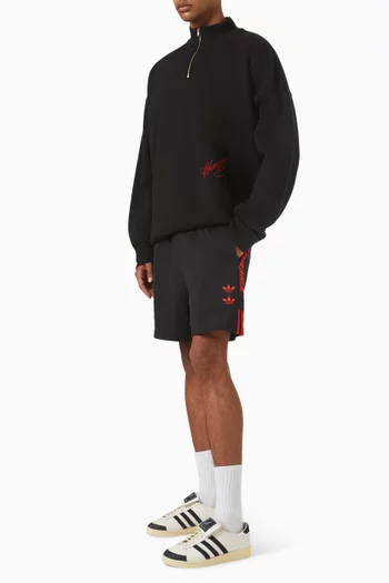 Bravo Quarter Zip Sweatshirt in Cotton