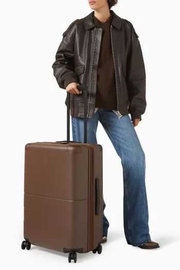 Checked-in Suitcase