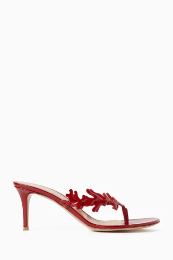 Coral 70 Mules in Leather