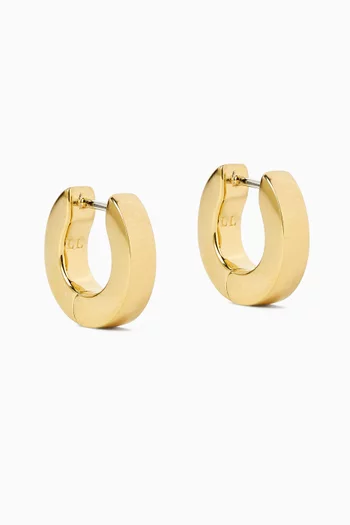 Hoop Earrings in Plated Brass