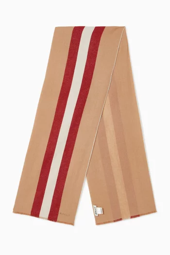 Stripe Scarf in Wool