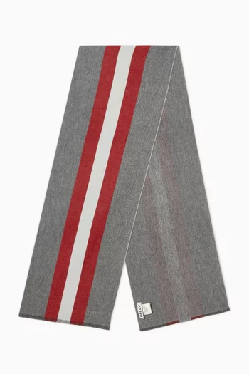 Stripe Scarf in Wool