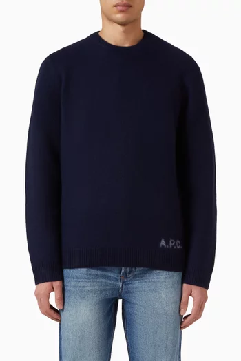 Edward Sweater in Wool
