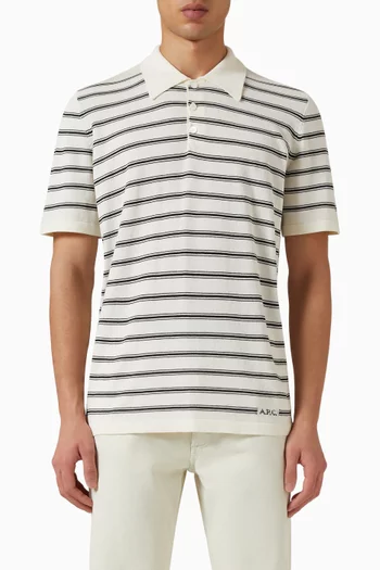Striped Polo Shirt in Cotton