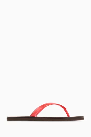 فليب فلوب سايونارا جيلي