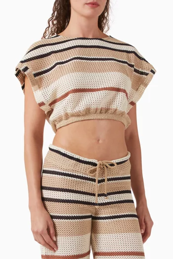 Renee Striped Crop Top in Crochet