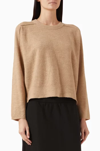 Crewneck Sweater in Felted-wool