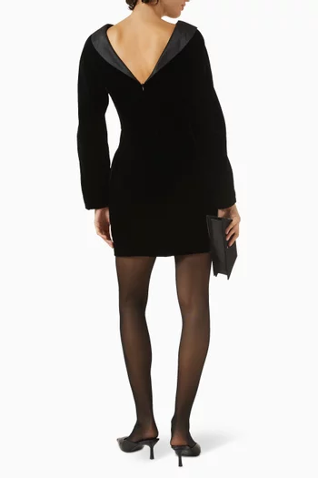 Mini Dress in Velvet