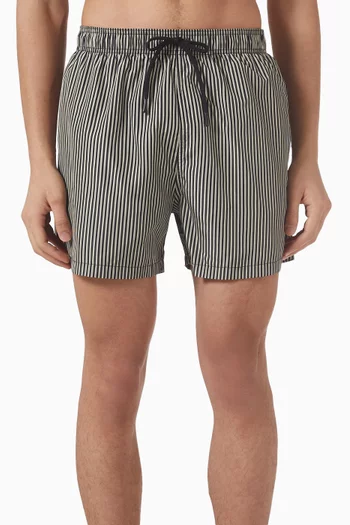Stripe Swim Shorts