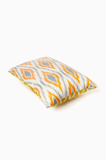 Double Sided Cushion in Silk Velvet