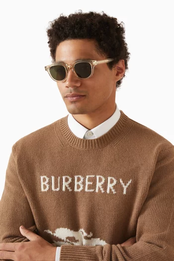 D-frame Sunglasses in Acetate