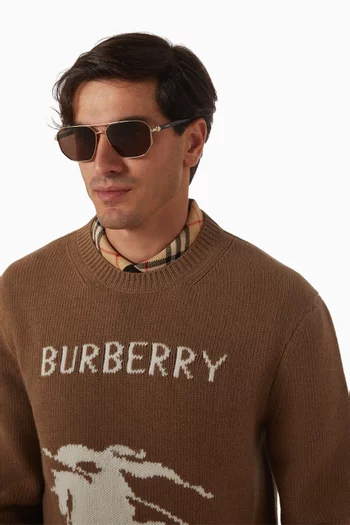 Aviators Sunglasses in Metal