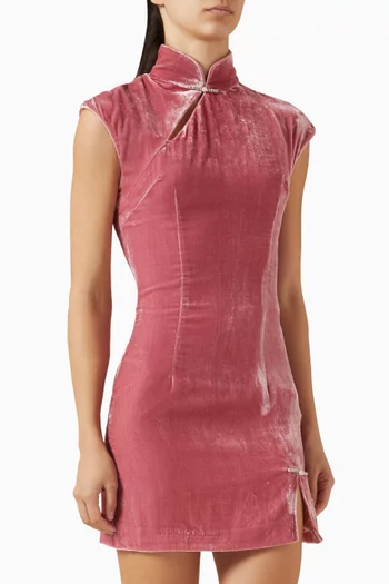 Dawn Mini Dress in Velvet