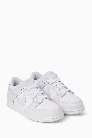 سنيكرز دانك أسفل الكاحل