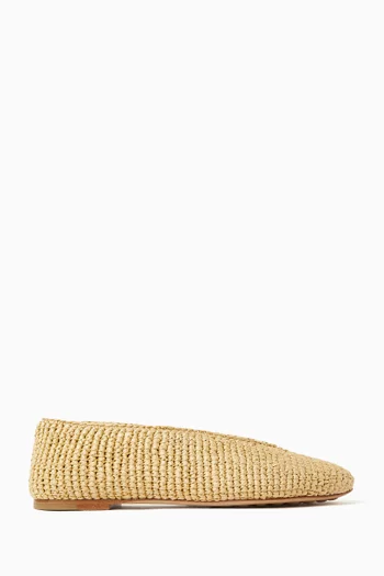 Rosa Ballet Flats in Raffia