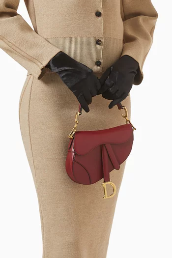 حقيبة ساتشل سادل ميني جلد عجل