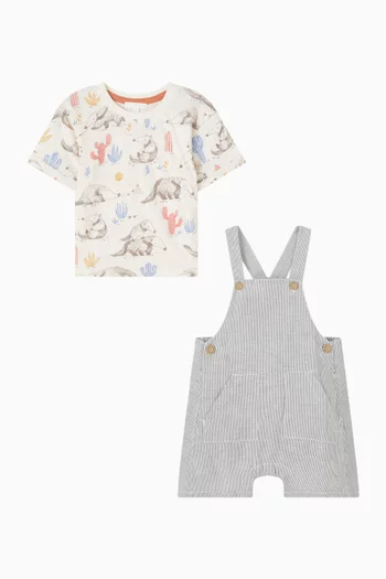 Anteater Striped Overall Set