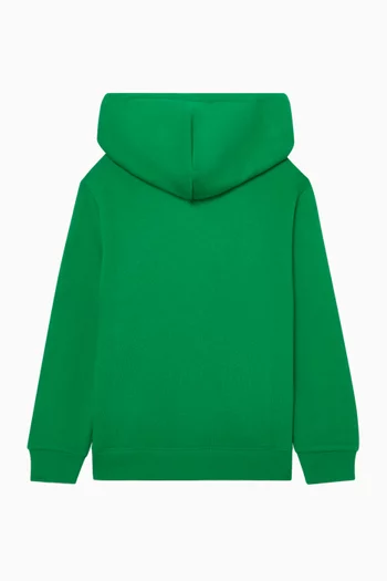 Polo Pony Hoodie in Cotton-blend