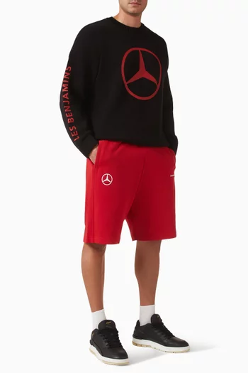 501 Logo Sweater in Knit