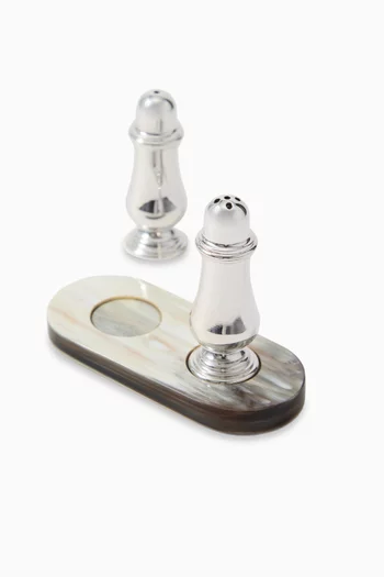 Salt & Pepper Set in Silver-plated Steel
