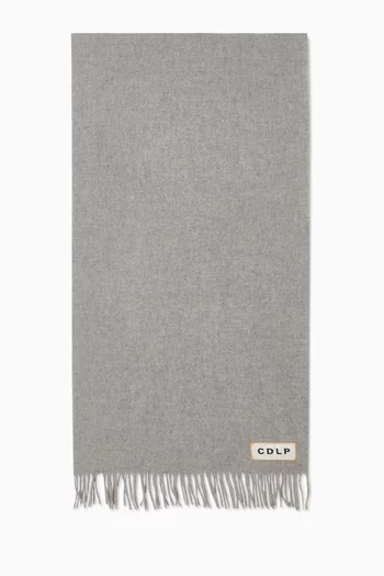Fringed Scarf in Wool