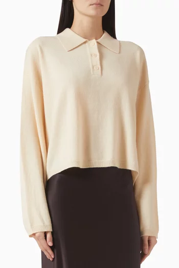 Elsie Polo Sweater in Cashmere