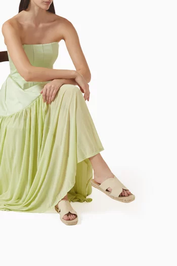 Priya Slides in Canvas