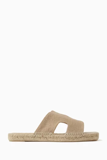 Priya Slides in Canvas