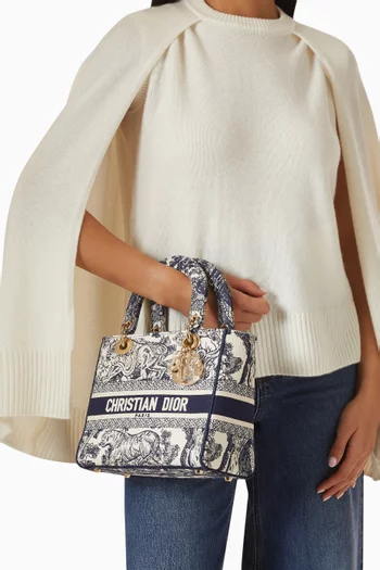 Lady Dior Top-handle Bag in Canvas