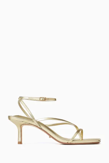 Avi 65 Sandals in Metallic Leather