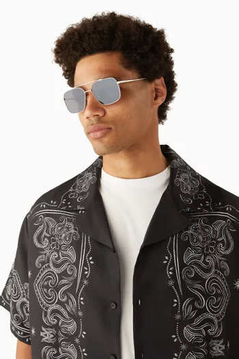 Frank Sunglasses in Metal