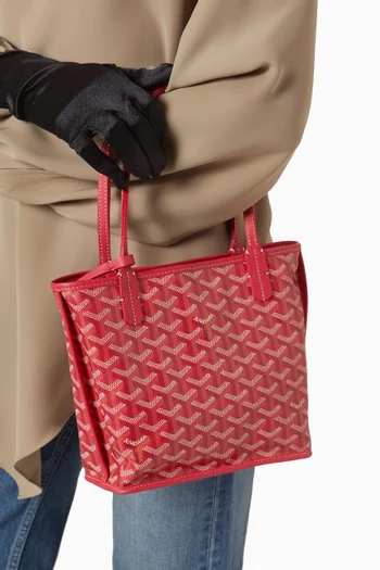 Unused Limited Edition Mini Anjou Tote Bag