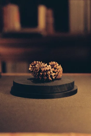 Il Sottobosco Eau de Parfum