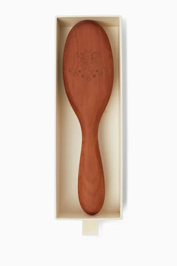 Aristidis Hairbrush with Crest
