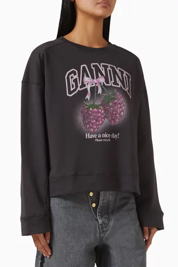 سويت شيرت إيزولي قطن عضوي