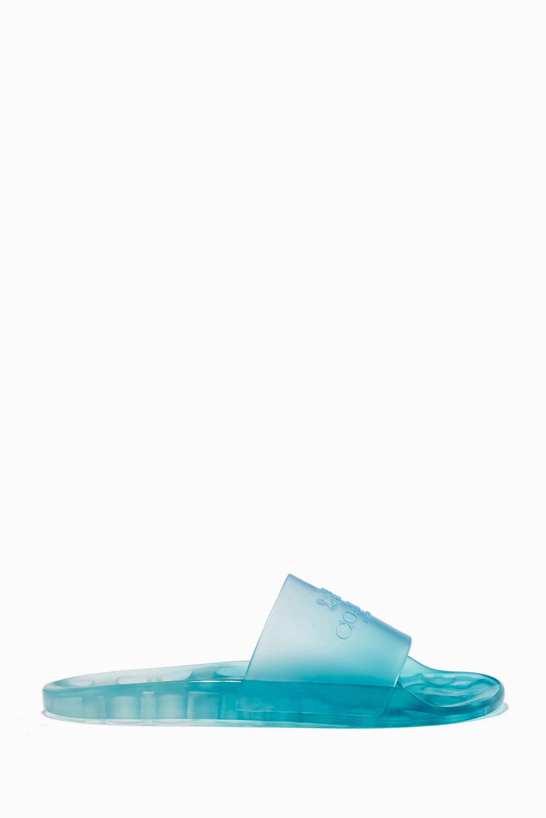 Blue top coach slides