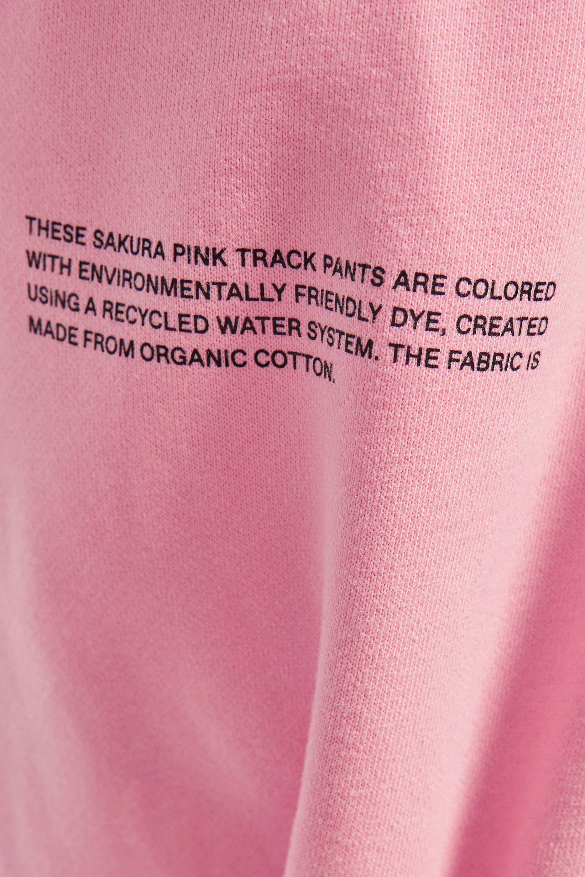 Buy PANGAIA Pink 365 Track Pants for Women in Saudi